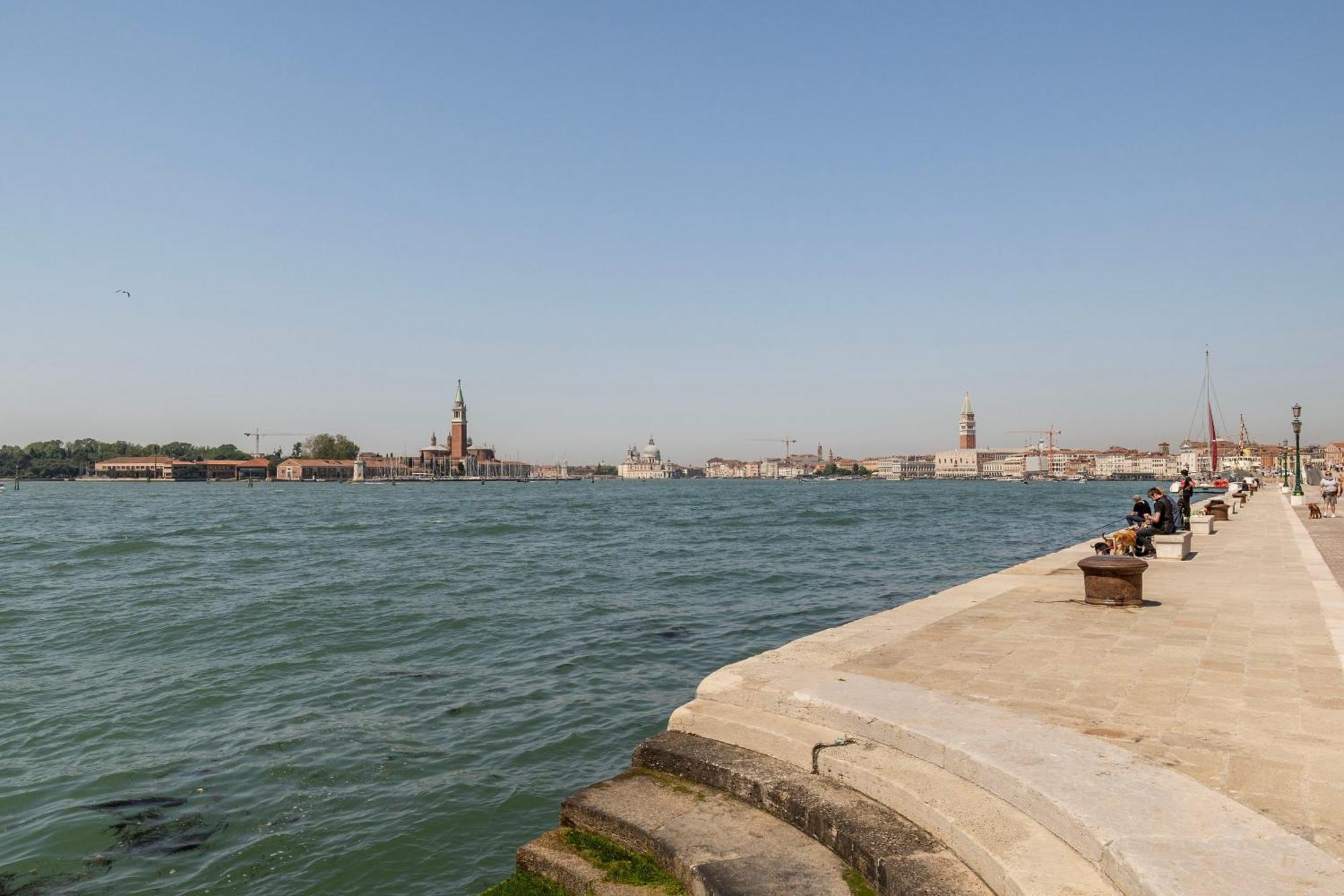 Ca'lina Near Biennale * Venecia